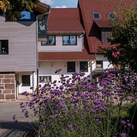Saunaloft Schwarzwald Aichhalden Екстер'єр фото