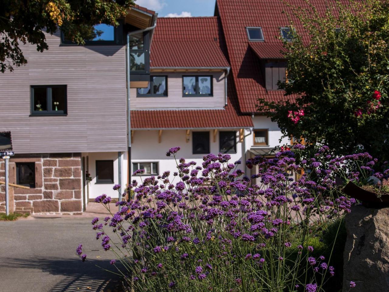 Saunaloft Schwarzwald Aichhalden Екстер'єр фото