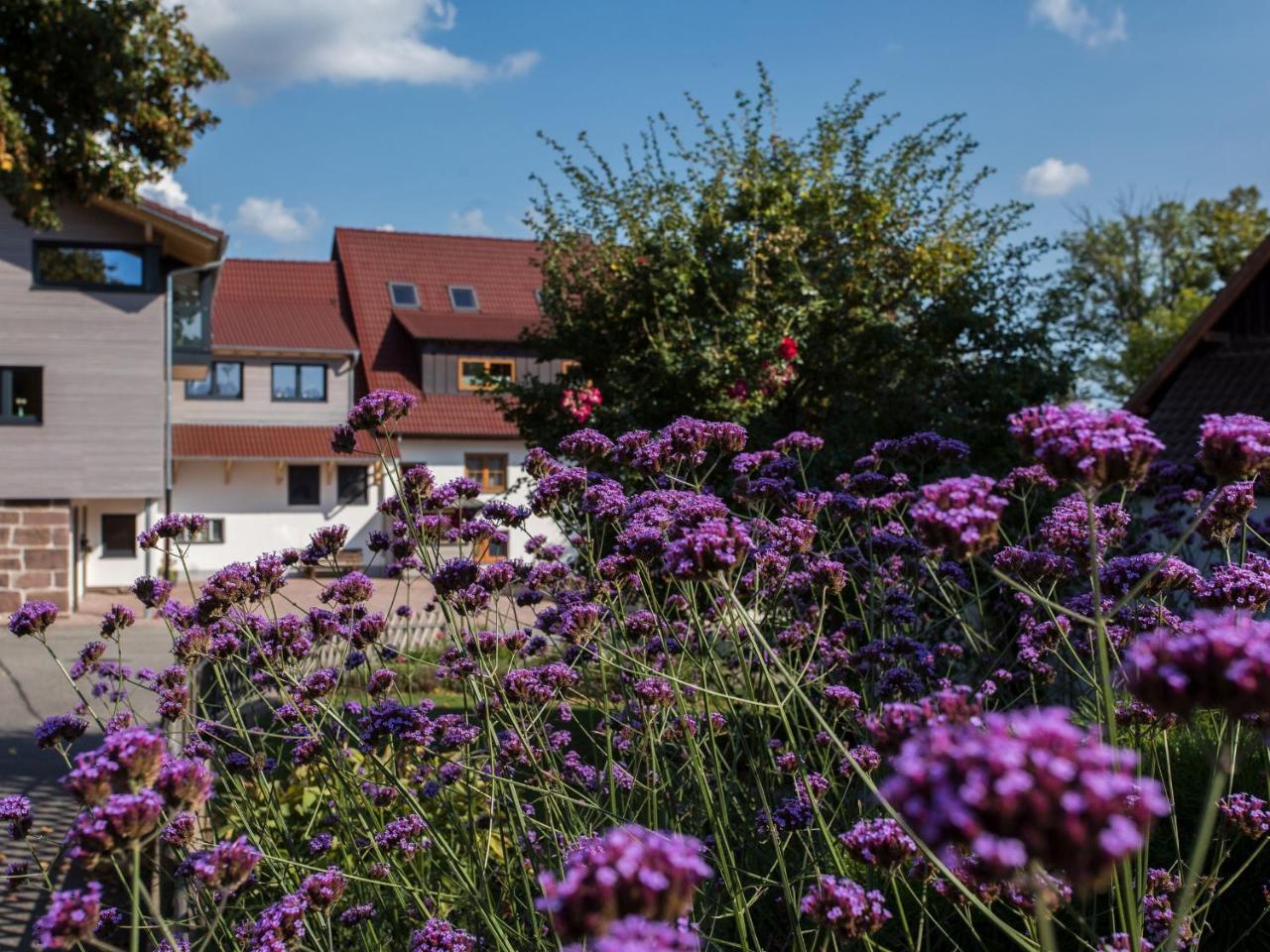 Saunaloft Schwarzwald Aichhalden Екстер'єр фото