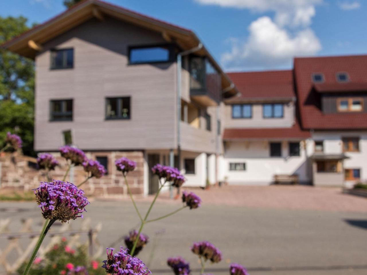 Saunaloft Schwarzwald Aichhalden Екстер'єр фото