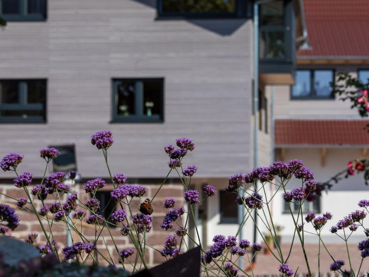 Saunaloft Schwarzwald Aichhalden Екстер'єр фото