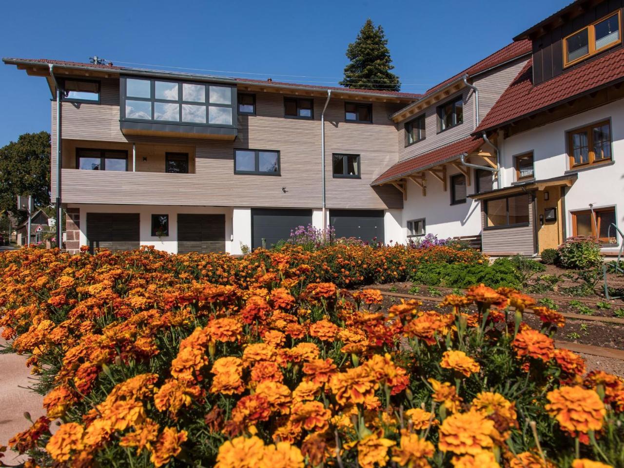 Saunaloft Schwarzwald Aichhalden Екстер'єр фото